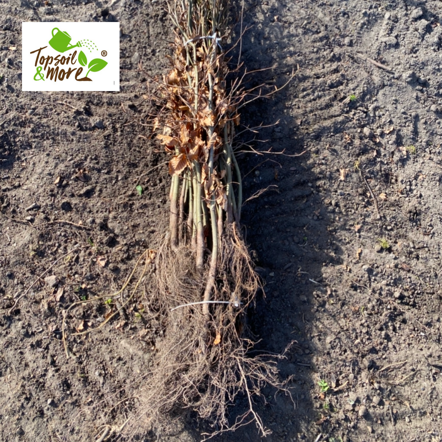 Tree & Shrub Mix Topsoil