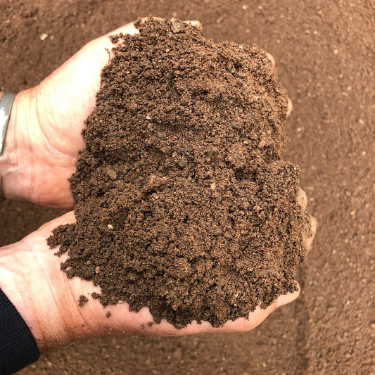 Grass Seeding Rootzone Topsoil 70/30 Mix