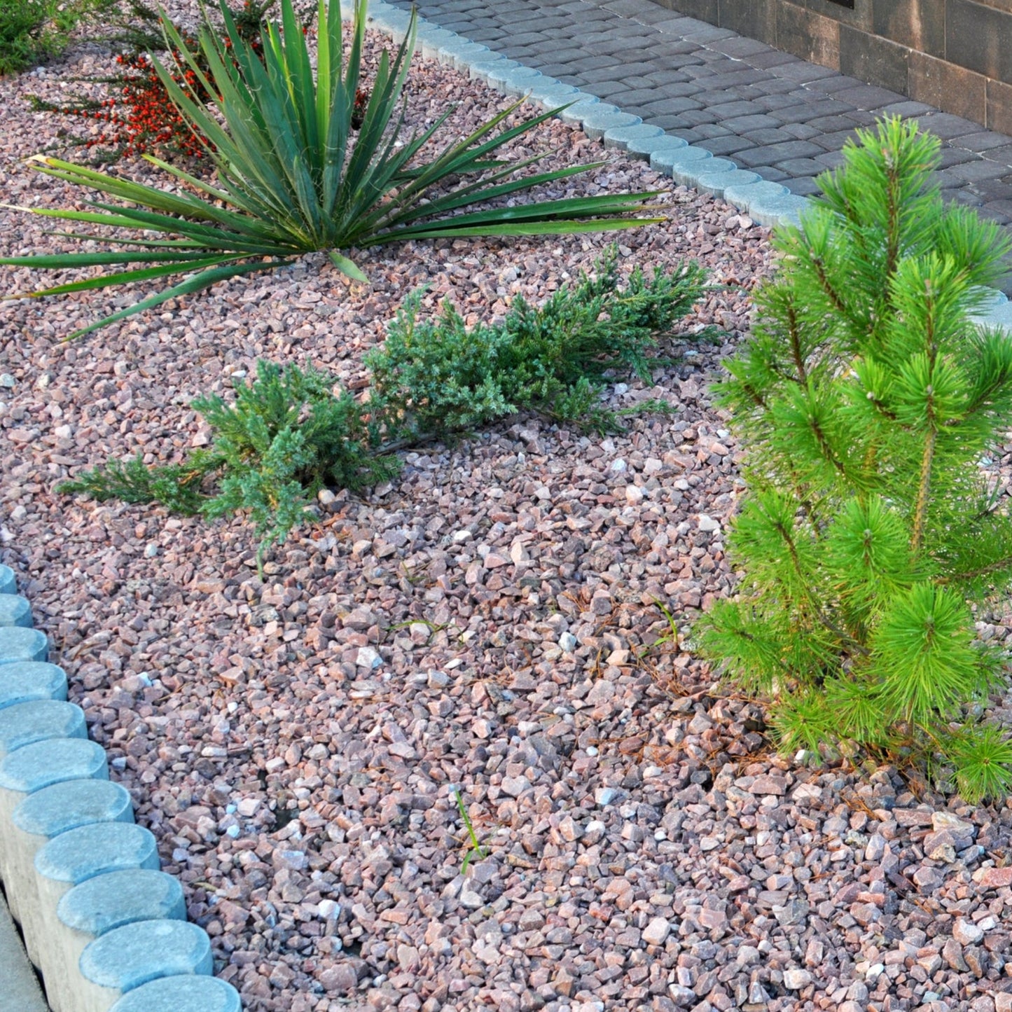 Staffordshire Pink Gravel